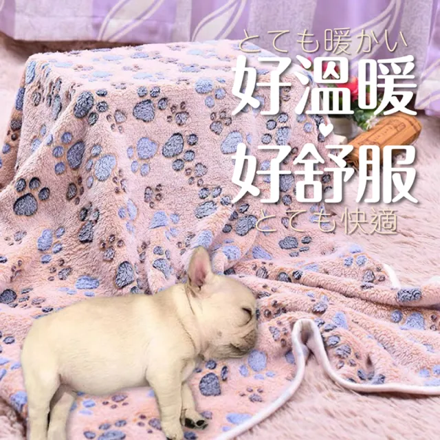 Saikoyen 極保暖舒適寵物法蘭絨毯2入 法蘭絨毯毯子空調毯毛毯保暖被子 Momo購物網