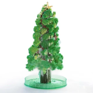 【Mr.sci 賽先生科學】紙樹開花啦！巨大聖誕樹(長青綠)