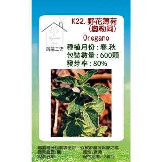 蔬菜工坊 K22 野花薄荷種子 奧勒岡 Momo購物網