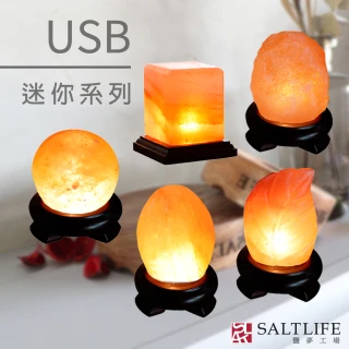 【鹽夢工場】USB系列｜五款造型可選(創意造型鹽燈)