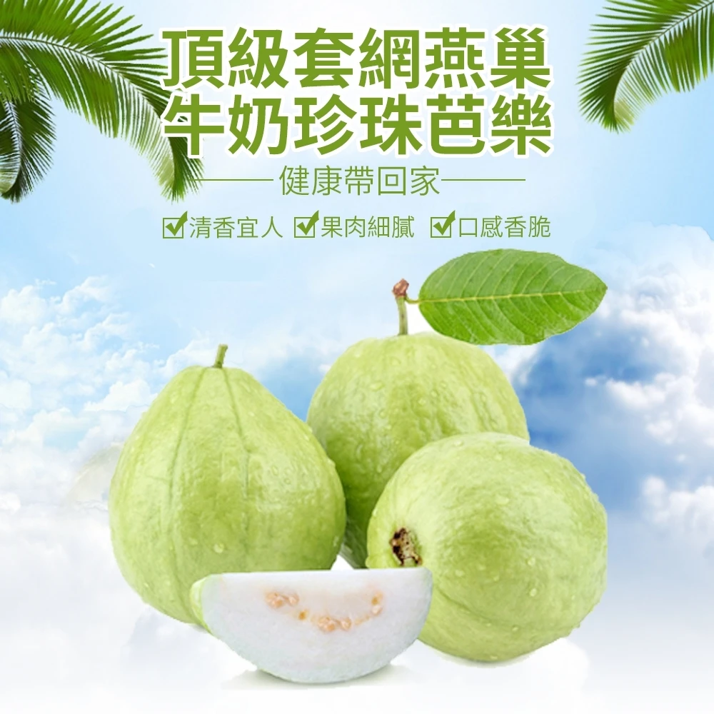 Wang 蔬果 頂級套網燕巢牛奶珍珠芭樂 10斤 10 Momo購物網