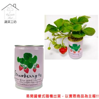 【蔬菜工坊004-E13】iPlant易開罐花卉-草莓