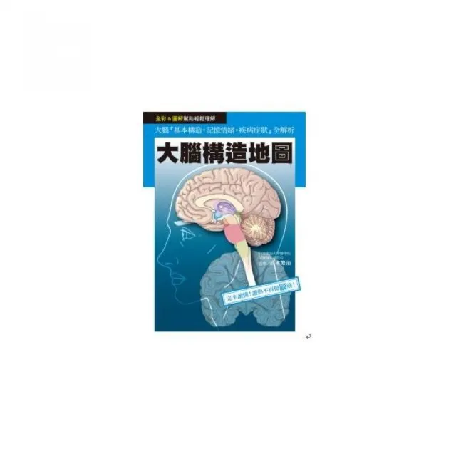 大腦構造地圖