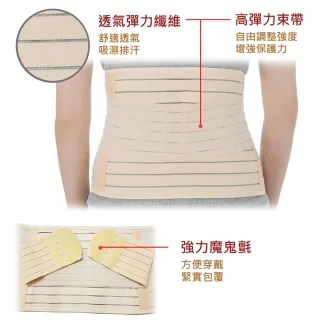 【Fe Li 飛力醫療】HA系列 全扣式束腹帶/護腰-加強型(H02-醫材字號)