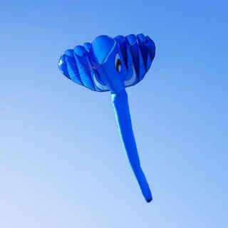 【888ezgo】長鼻大象造型風箏（軟式風箏）（全配/附150米輪盤線）