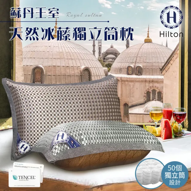 【Hilton 希爾頓】蘇丹王室。頂級格紋藤編獨立筒枕/買一送一/二色任選(藤編枕/冰涼透氣枕/透氣枕/舒適枕)