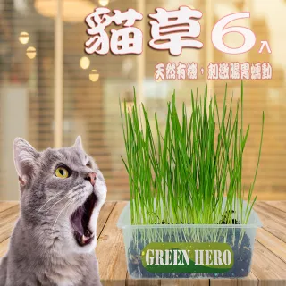 貓草 Momo購物網