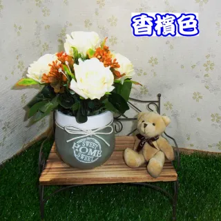 【園藝世界】玫瑰盆花
