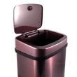 【美國NINESTARS】感應式垃圾桶12公升-不銹鋼 DZT-12-5