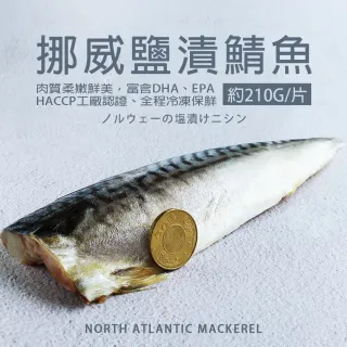 【築地一番鮮】厚片超大油質豐厚挪威薄鹽鯖魚8片(約210g/片)