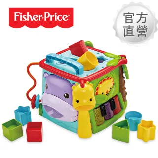 6個月 費雪fisher Price 費雪fisher Price 品牌旗艦 Momo購物網