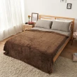 【BELLE VIE】純色簡約 多功能保暖超大尺寸蓋毯(180x200cm-1入組)