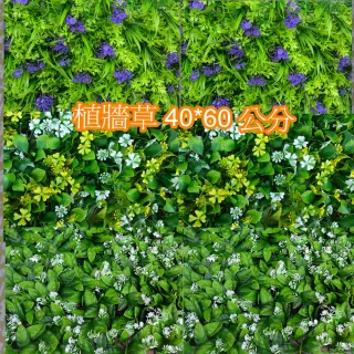 【園藝世界】人造草皮-植牆草40*60 公分