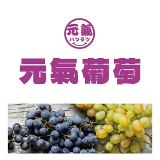 【台灣美食全記錄】元氣葡萄乾400g(優質葡萄乾)