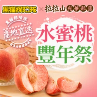 【黑貓探險隊 X 拉拉山光華】水蜜桃10粒(2.5斤1盒)