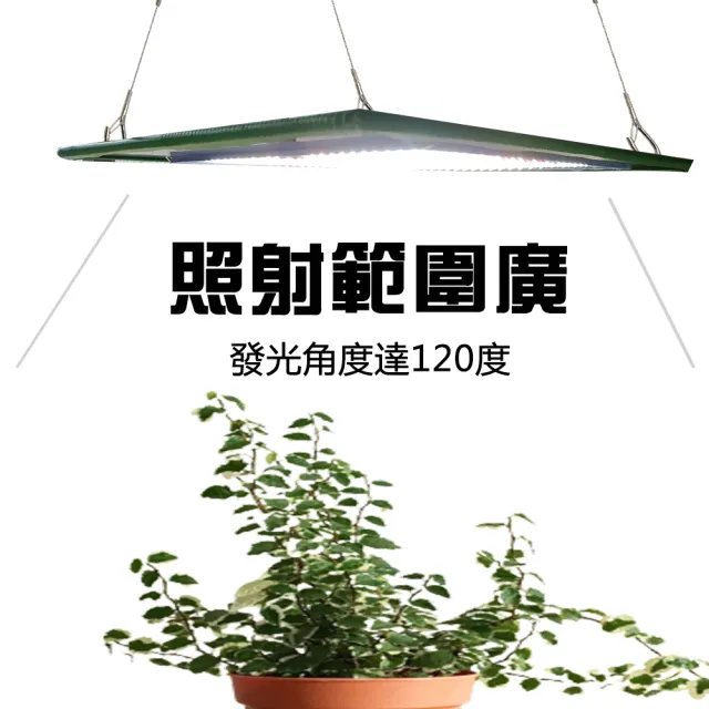 Jiunpey 君沛 燈板系列50瓦吊掛式植物燈全光譜植物成長專用燈 植物生長燈 Momo購物網