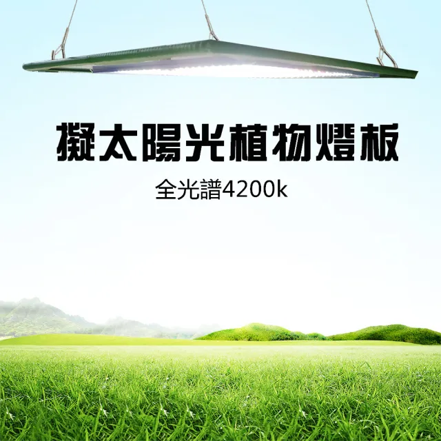 Jiunpey 君沛 燈板系列50瓦吊掛式植物燈全光譜植物成長專用燈 植物生長燈 Momo購物網 Jiunpey 君沛 燈板系列50瓦吊掛式植物燈全光譜植物成長專用燈 植物生長燈 Momo購物網