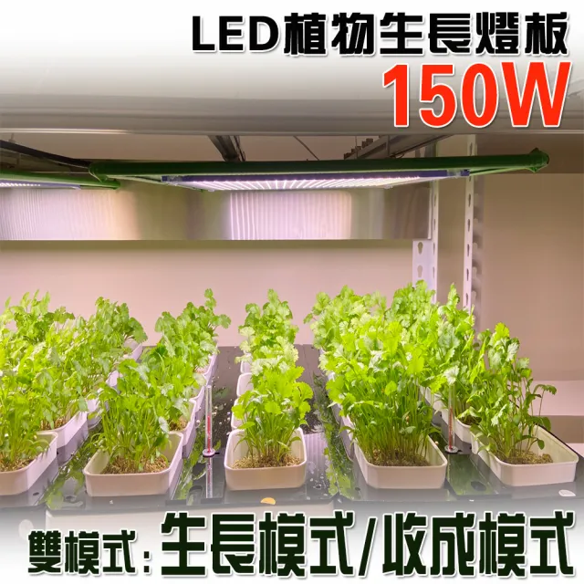 Jiunpey 君沛 燈板系列150瓦吊掛式雙色光譜植物燈植物成長專用燈 植物生長燈 Momo購物網 Jiunpey 君沛 燈板系列150瓦吊掛式雙色光譜植物燈植物成長專用燈 植物生長燈 Momo購物網