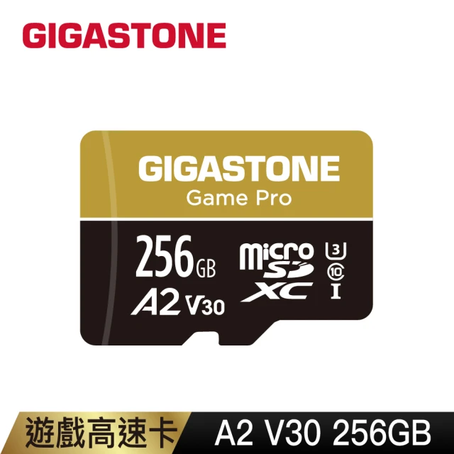 第03名 【Gigastone 立達國際】256GB micro SDXC UHS-Ⅰ U3 記憶卡(256G A2V30 高速記憶卡)