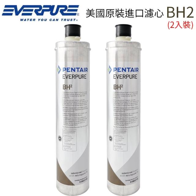 【EVERPURE】美國原裝進口濾心 BH2(2入裝)