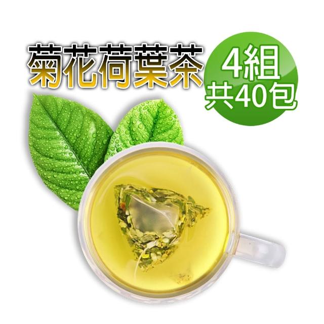 【蔘大王】台灣菊花荷葉降降茶（3D立體茶包）6gx10包/組X4組(降!降!降!很輕鬆/無咖啡因無茶鹼)