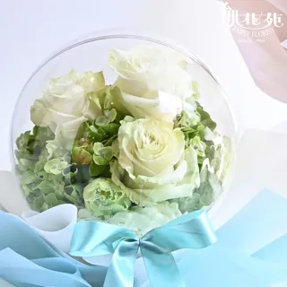 【台北花苑】泡泡球系列－高雅白(告白花禮/Tiffany Blue/盆花)