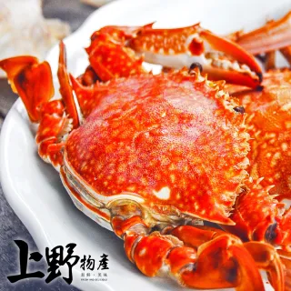 花蟹 紅蟳 生鮮品牌強打推薦 水產海鮮 生鮮 Momo購物網