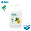 【清淨海】檸檬系列環保洗手乳 4000g桶裝(自行分裝更環保)