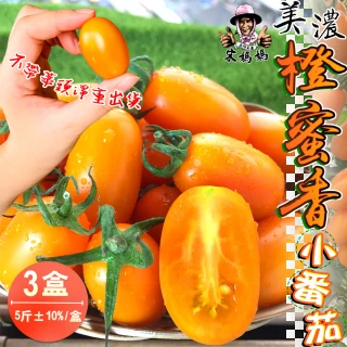 【宋媽媽ｘ福壽伯】高雄美濃超人氣橙蜜香小番茄5斤x3盒(含箱重不帶蒂頭出貨)