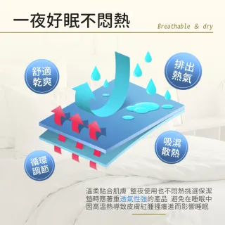 【買一送一】護理級 台灣製造 防潑水防塵防汙床包式保潔墊(三尺寸任選)