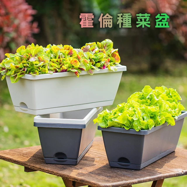 【fioJa 費歐家】長方形霍倫種菜S號+S號鐵架 居家陽台種植槽 花盆 種植盆(種菜箱 生活綠意 花卉易養)