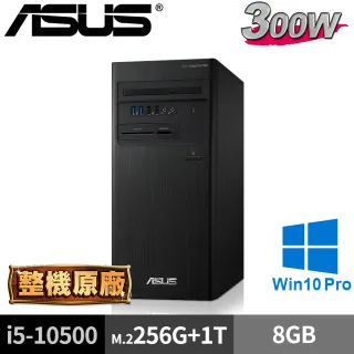 【ASUS 華碩】M700TA(i5-10500/8G/M.2-256GB+1TB/W10P)