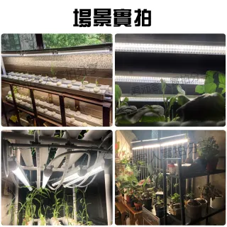 【君沛】4入一組 t8 led植物生長燈管 T8 全光譜 植物燈 臺灣製造(植物生長燈管 T8燈管 植物燈管)