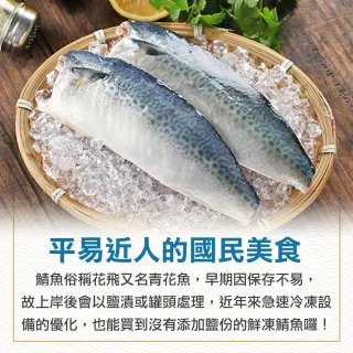 【愛上海鮮】南方澳鮮撈無鹽鯖魚 30片組(2片裝/110-120g/片)