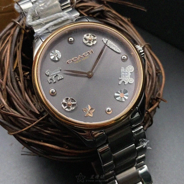 【COACH】COACH蔻馳女錶型號CH00099(槍灰色錶面槍灰色錶殼槍灰色精鋼錶帶款)