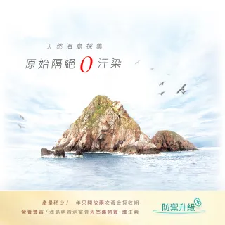【京越莊】頂級海島冰糖燕窩_分享組_2盒(12入)