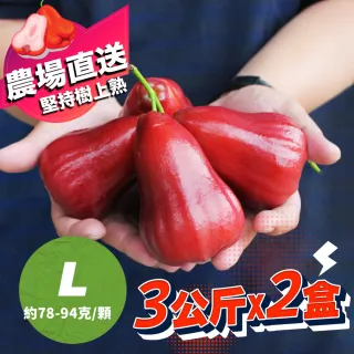 果寶食果樹寶石 特秀卓蘭巨峰葡萄2公斤4 5房 日本指定農場國寶精萃等級 Momo購物網 雙11優惠推薦 22年11月