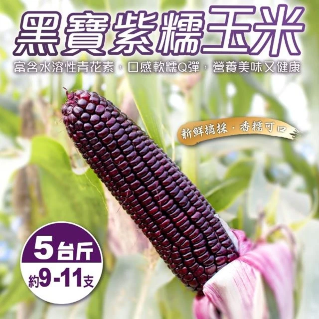 【果農直配】黑寶紫糯米玉米(5斤/箱)