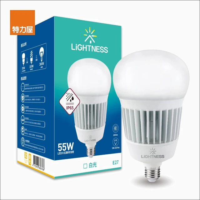 【特力屋】LiGHTNESS LED大球泡燈 55W 白光E27