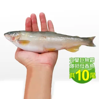 【低溫快配-優鮮配】宜蘭巨無霸爆卵母香魚2盒(5尾/920g/盒-凍)