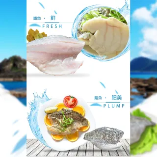 【鮮綠生活】台灣巨無霸金目鱸魚片加大量版(300-400g±10%/包 共10包)