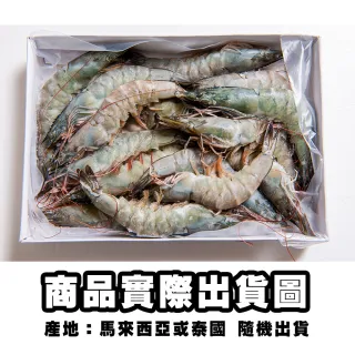 【鮮綠生活】無毒特大生凍白蝦后(600g ±10%/盒/約16-18尾 共3盒)