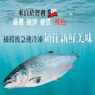 【海之醇】8片組-優質智利鮭魚(270g±10%/片)