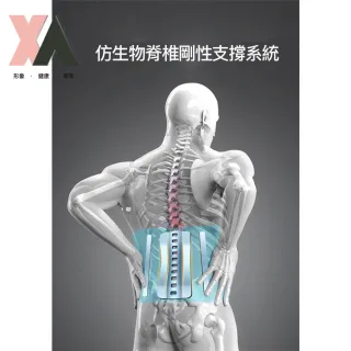 【XA】頂級深海磁石仿生物護腰帶D05(超彈力拉伸、仿生脊椎支撐、椎間盤)
