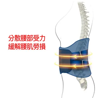 【XA】頂級深海磁石仿生物護腰帶D05(超彈力拉伸、仿生脊椎支撐、椎間盤)