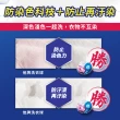 【白蘭】4X酵素極淨洗衣球袋裝54顆x3包/共162顆(除菌除蹣)