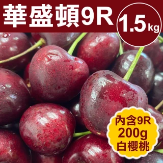 【甜露露】9R華盛頓紅櫻桃1.3kg加9R白櫻桃200g(共1.5kg±10%/盒)