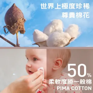 【LOHAS 樂活人生】台灣製歐洲精品92%PIMA超透氣 高腰抑菌過敏內褲5入(養護私密保健)