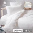 【JAROI】台灣製100%初生小羔羊毛被3KG保暖型(送舒眠枕2入)
