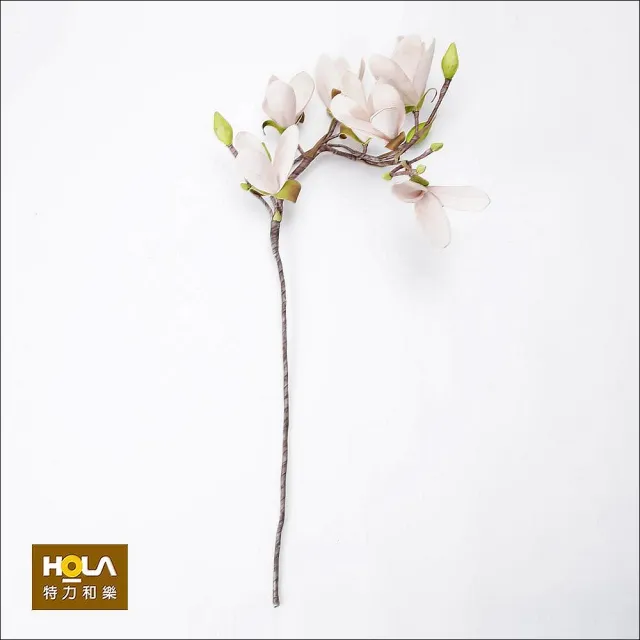 Hola Flora 芙蘿拉花插辛夷花大粉 Momo購物網 雙11優惠推薦 22年11月